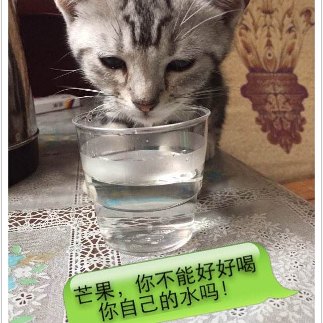 一比一仿建筑资质证